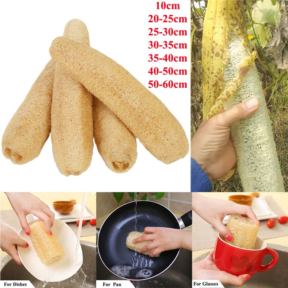 Body Loofah Natural - Éponge naturelle en loofah, anti-adhésive, longue,
