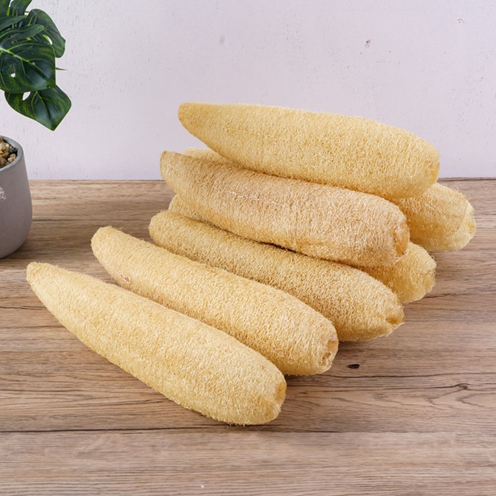 Éponge naturelle en loofah, an - Body Loofah Natural avis et prix