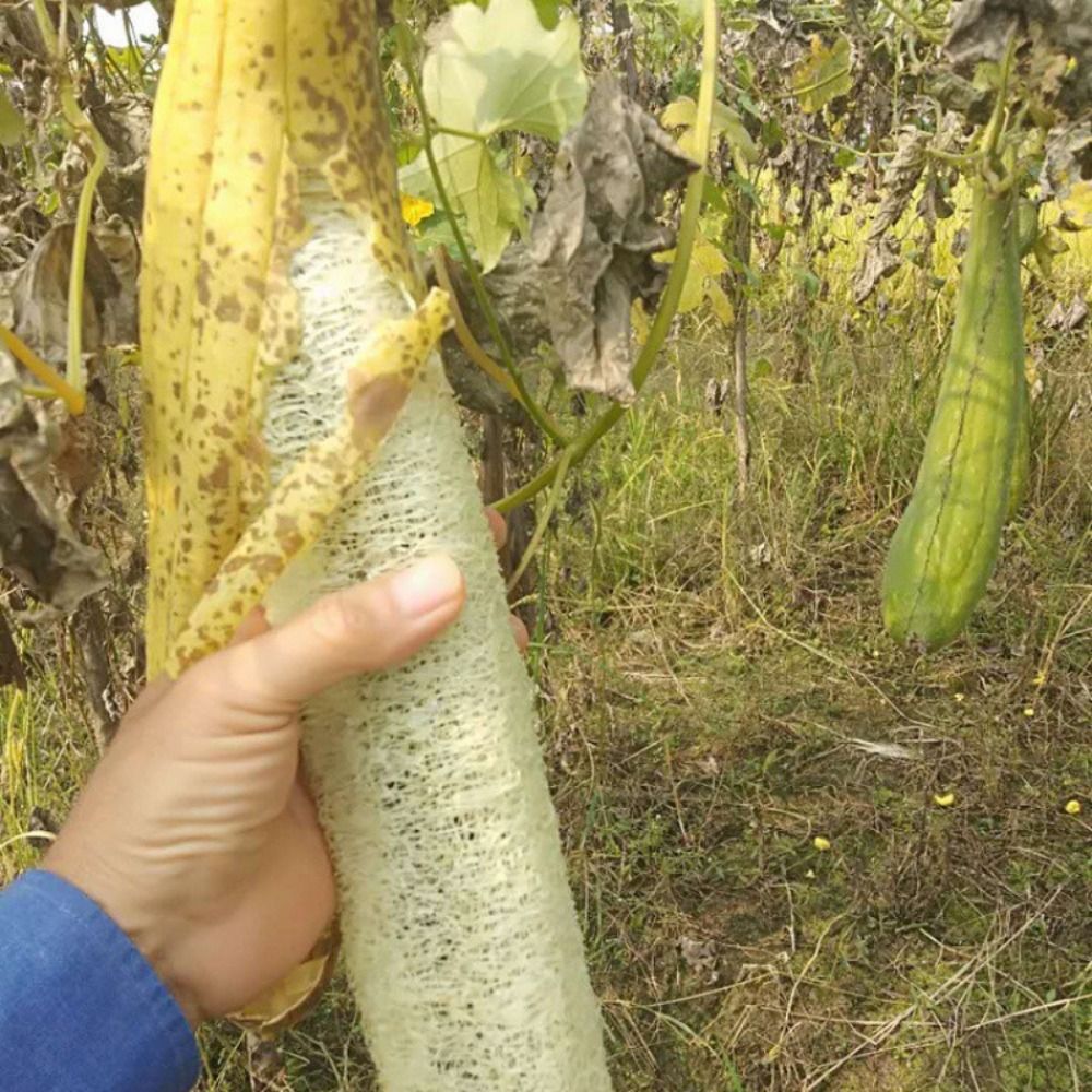 Éponge naturelle en loofah, lo - Body Loofah Natural avis et prix