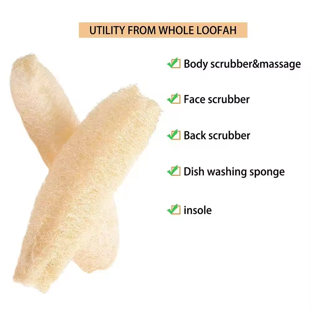 Éponge de luffa naturelle, out - Body Loofah Natural avis et prix