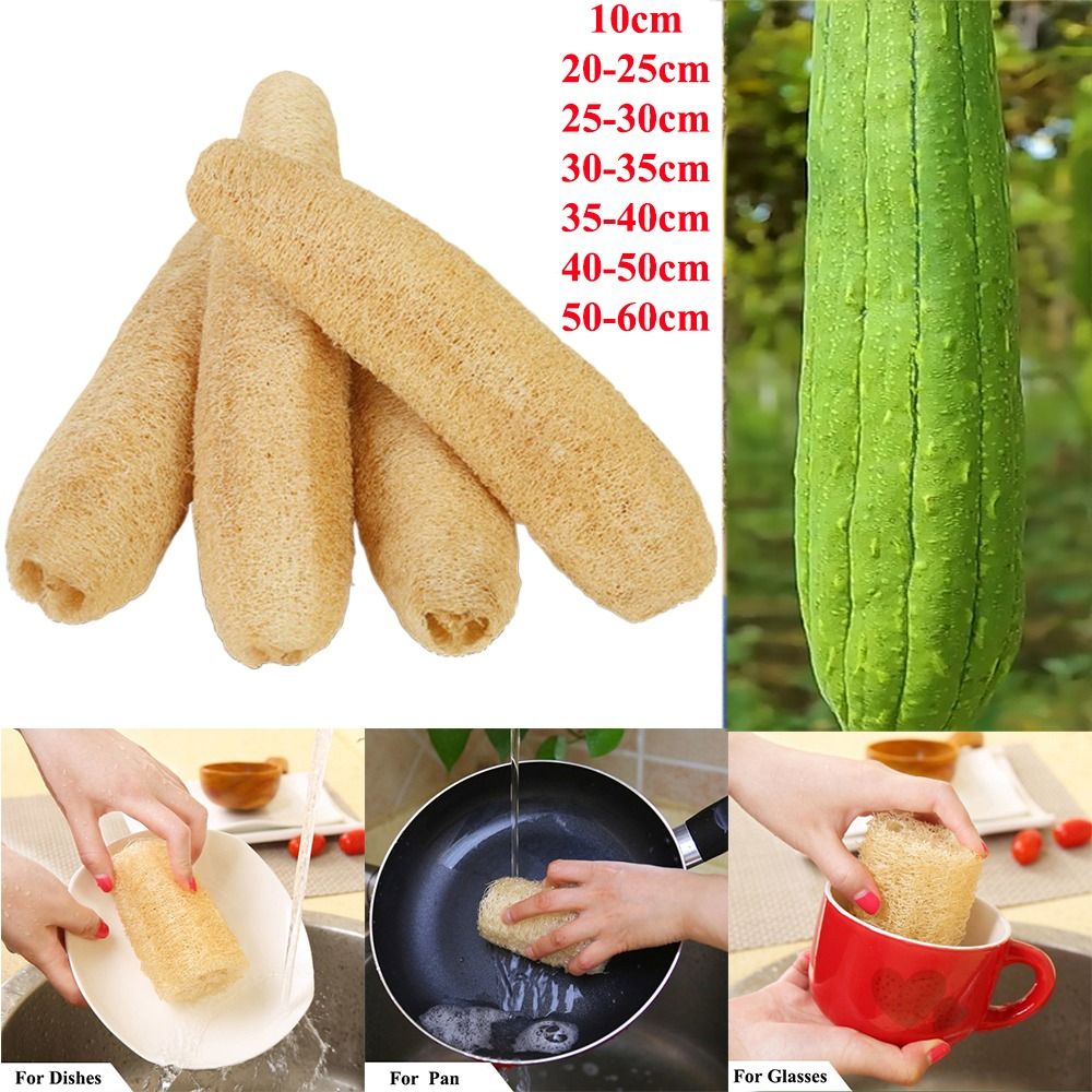 Éponge Luffa naturelle antiari - Body Loofah Natural avis et prix