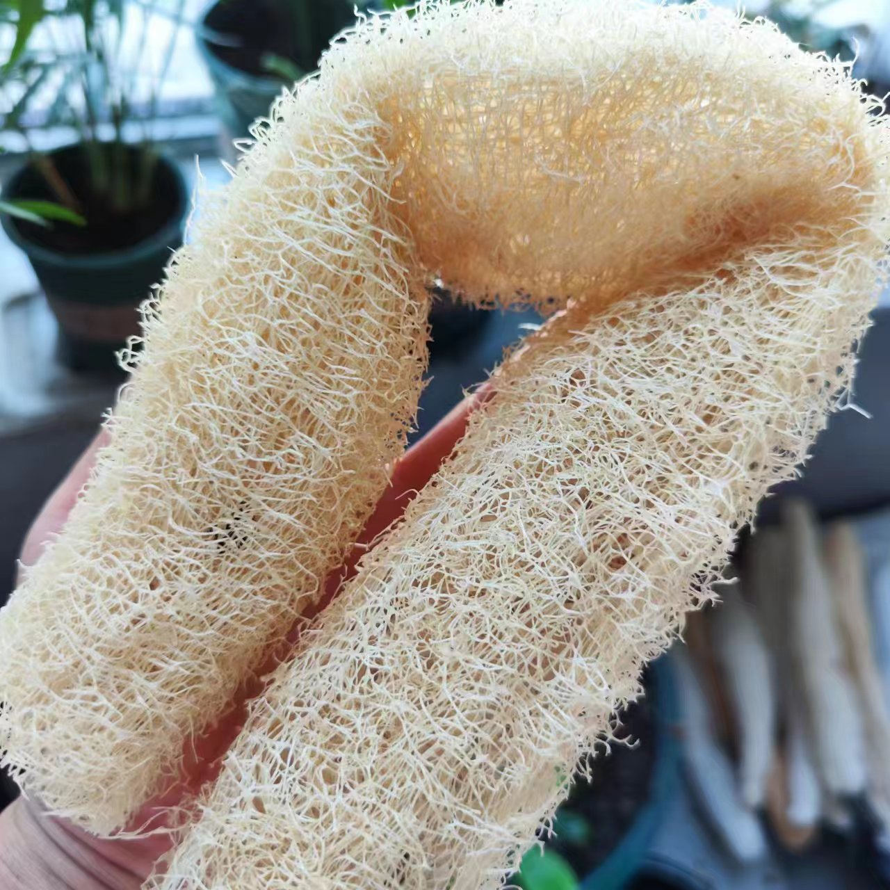 Merveilleuse éponge luffa poly - Body Loofah Natural avis et prix