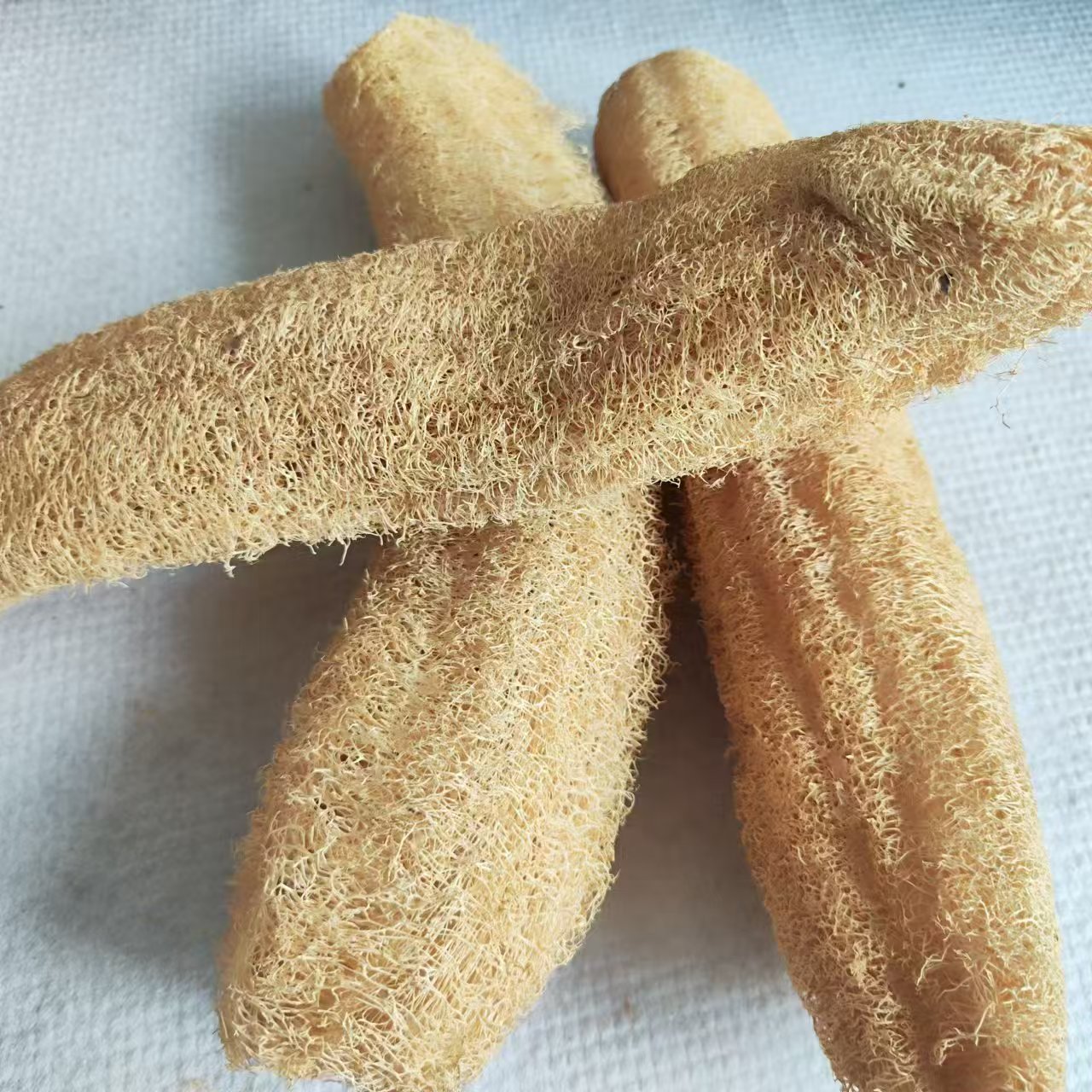 Merveilleuse éponge luffa poly - Body Loofah Natural avis et prix